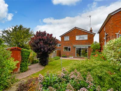 Picture 3